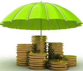 民企發(fā)債保險(xiǎn)業(yè)設(shè)資管產(chǎn)品